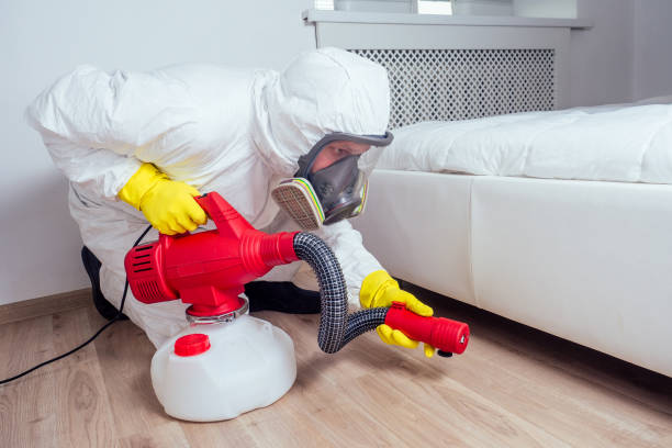 Best Affordable Pest Control Services  in Duson, LA