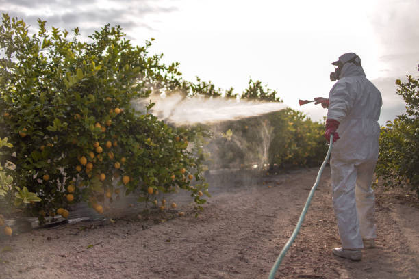 Best Pest Control Near Me in Duson, LA
