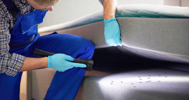 Best Pest Control Treatment  in Duson, LA