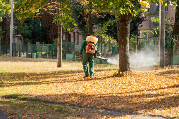 Best Best Pest Control Companies  in Duson, LA