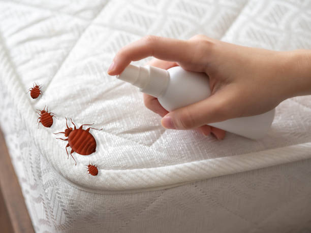 Best Pest Inspection Near Me  in Duson, LA