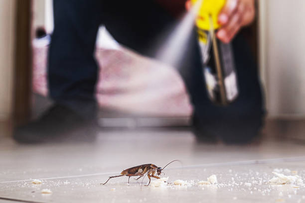 Pest Control for Restaurants in Duson, LA