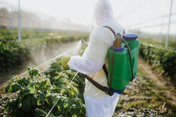 Best Wildlife Control Services  in Duson, LA